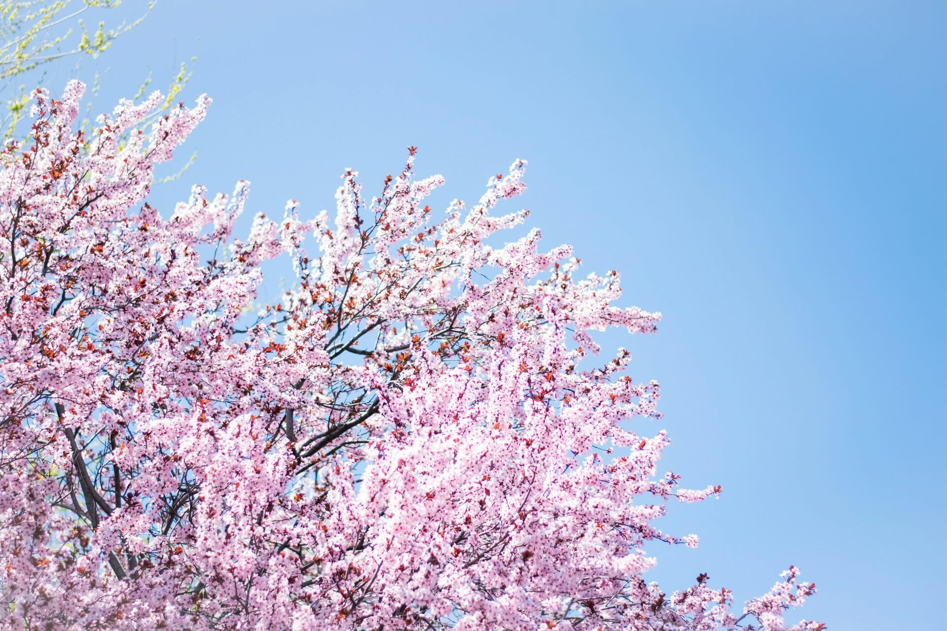 Photo by Jake Weirick on Unsplash
